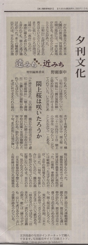 roci20120422_nikkei.jpg