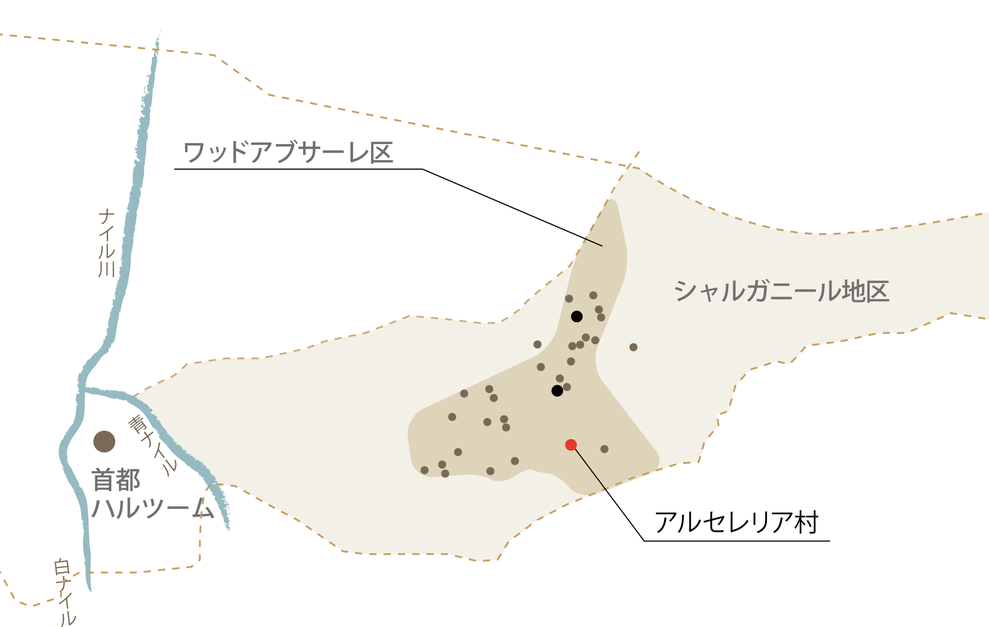 アルセレリア村 井戸改修工事の完了 アフリカに医療や水を届ける国際ngoロシナンテス